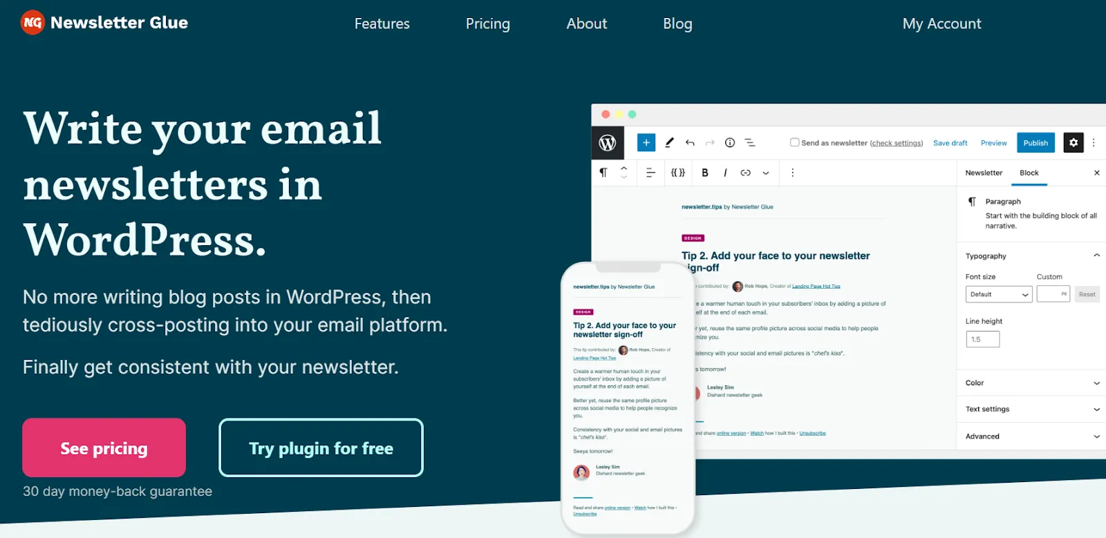 Best WordPress email marketing plugins Newsletter Glue