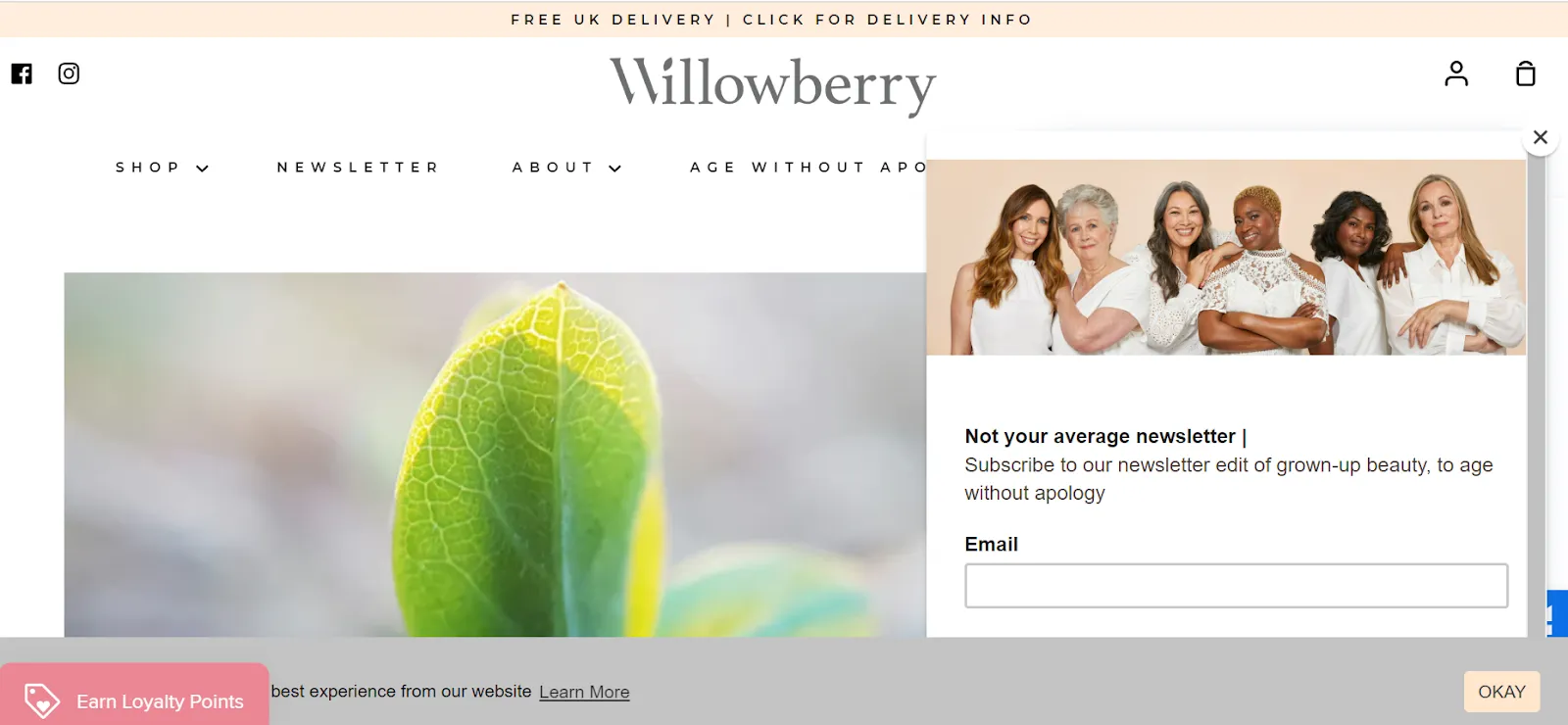 Lead capture forms example: Willow Berry
