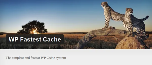 wpfastest cache logo
