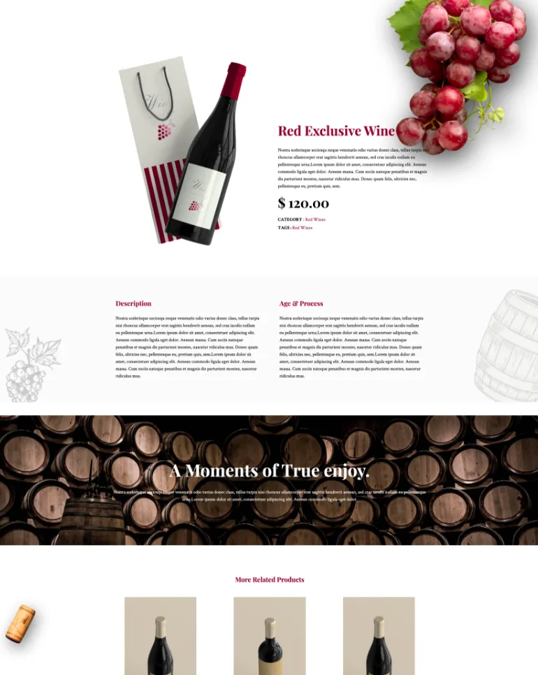 Shopify page template