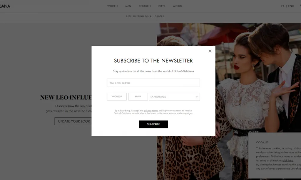 dolce and gabbana email popup