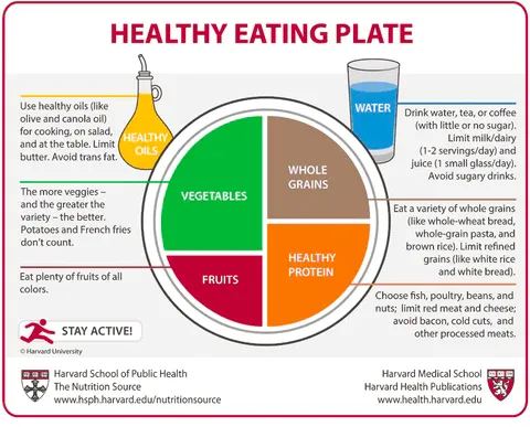 A sample dinner plate