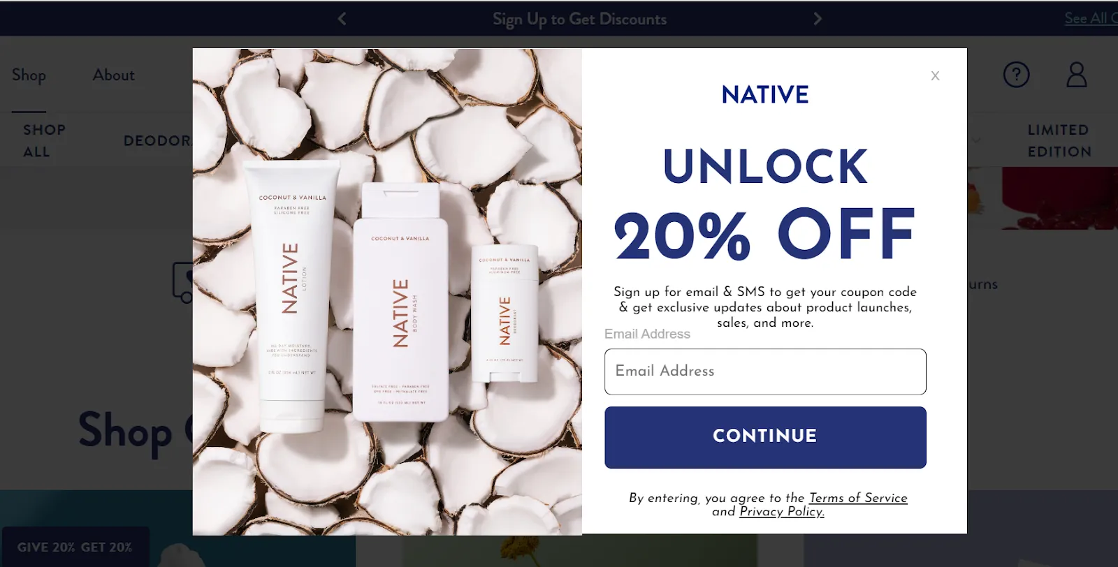 Lead Capture Form example: Native COs